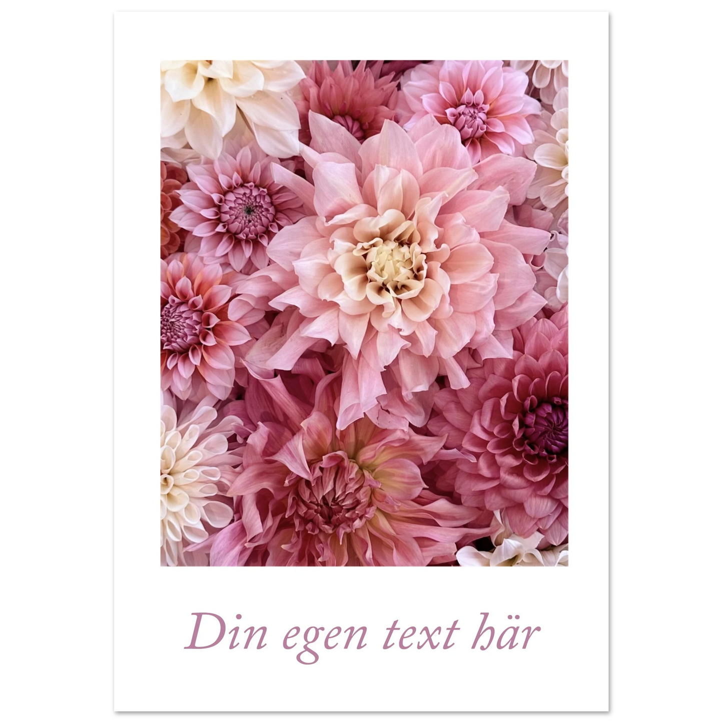 04989dd0-989d-445b-8c10-b0dabe42aa51