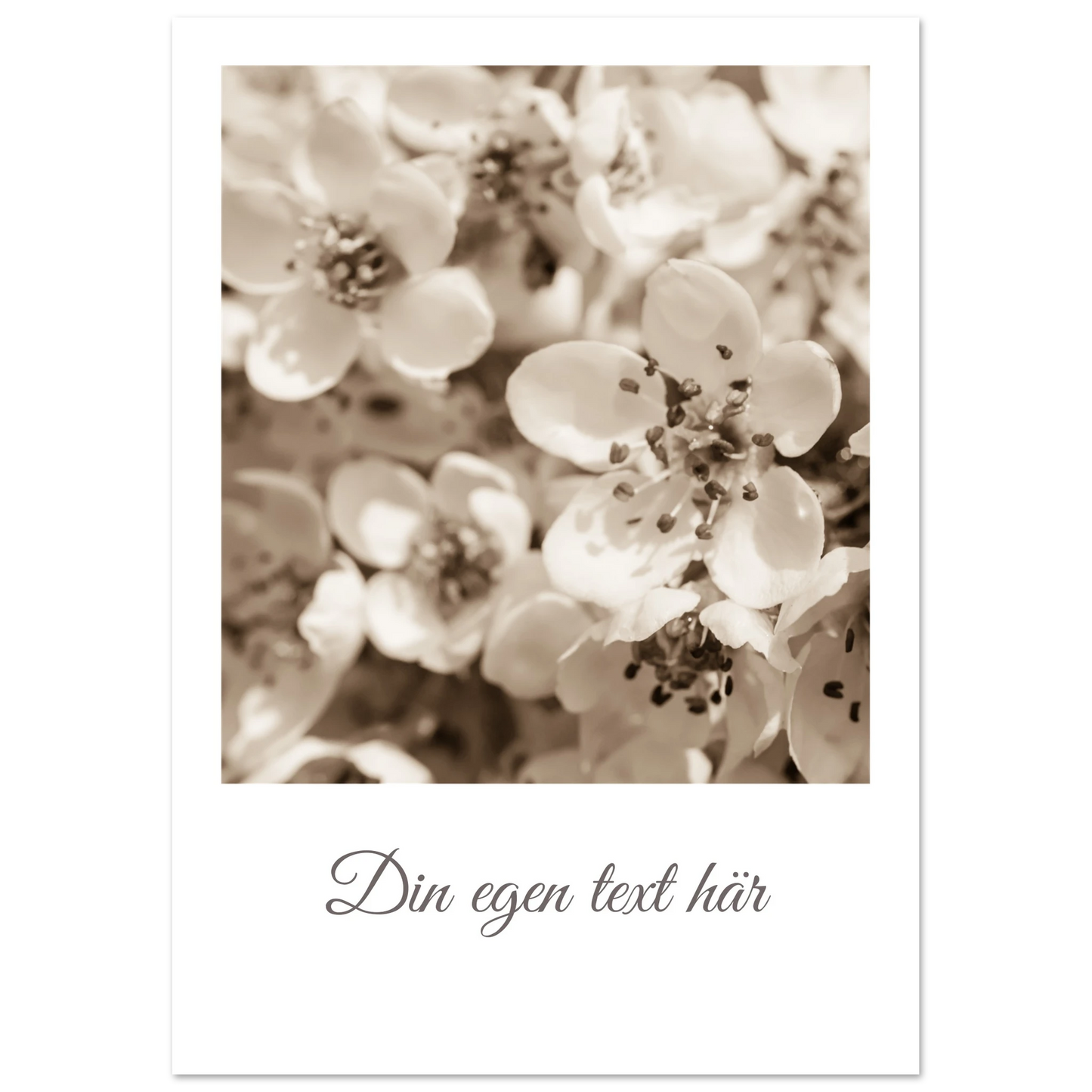 127ab28f-7f83-47c4-8c2f-e7874b078688