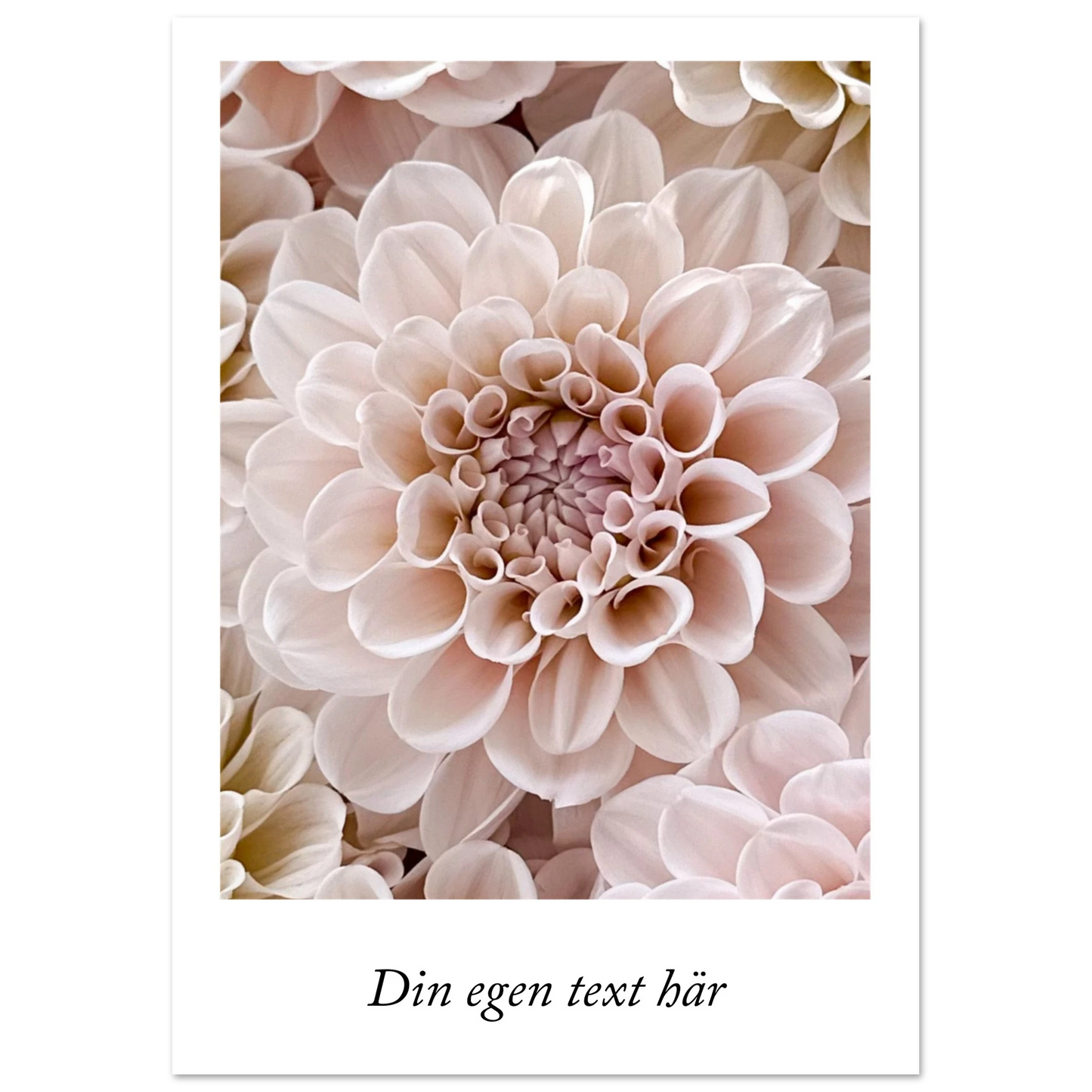 15b957e6-e716-4169-9fd9-fc471aab3ca1