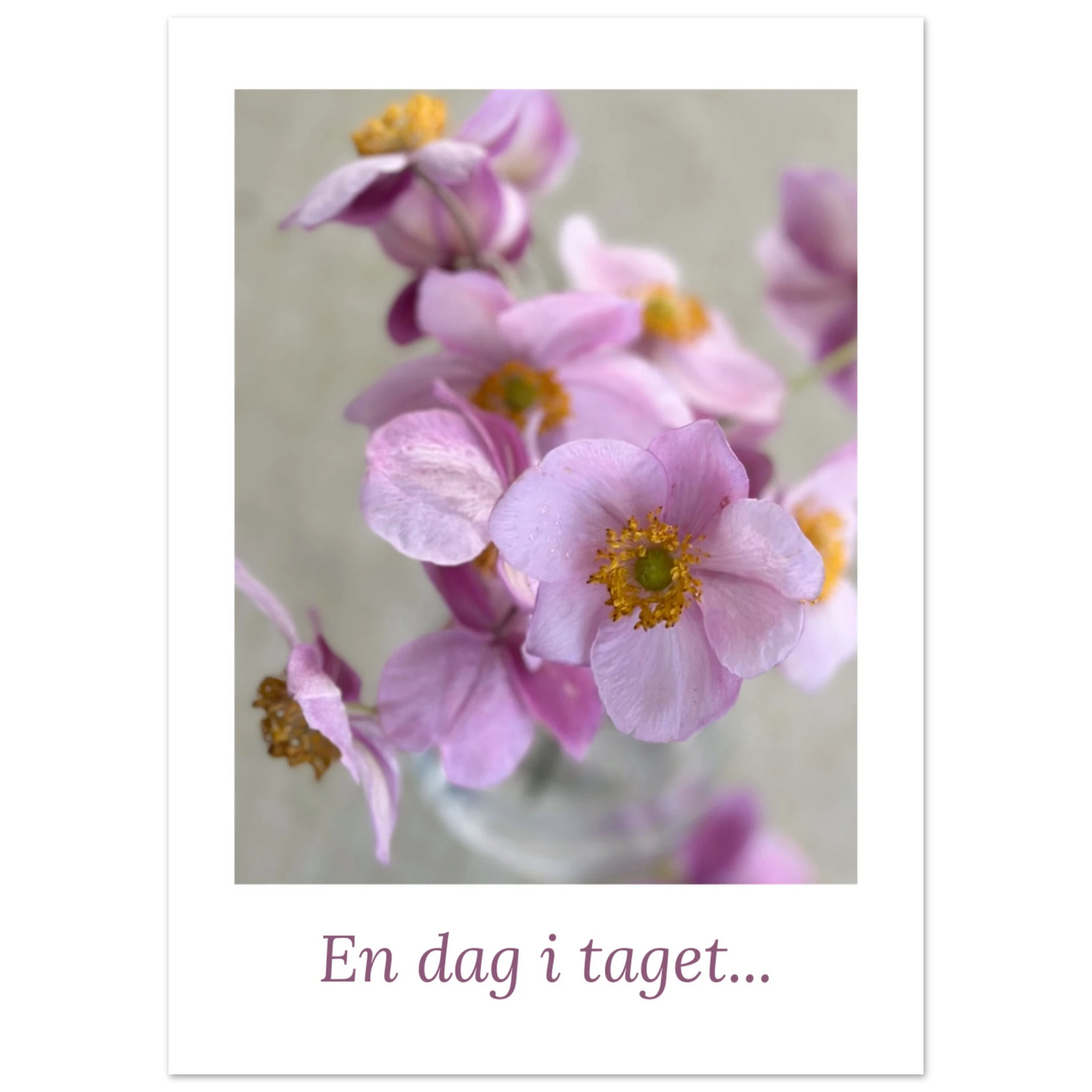25f8b993-0bb9-4145-8599-e641292a16fe