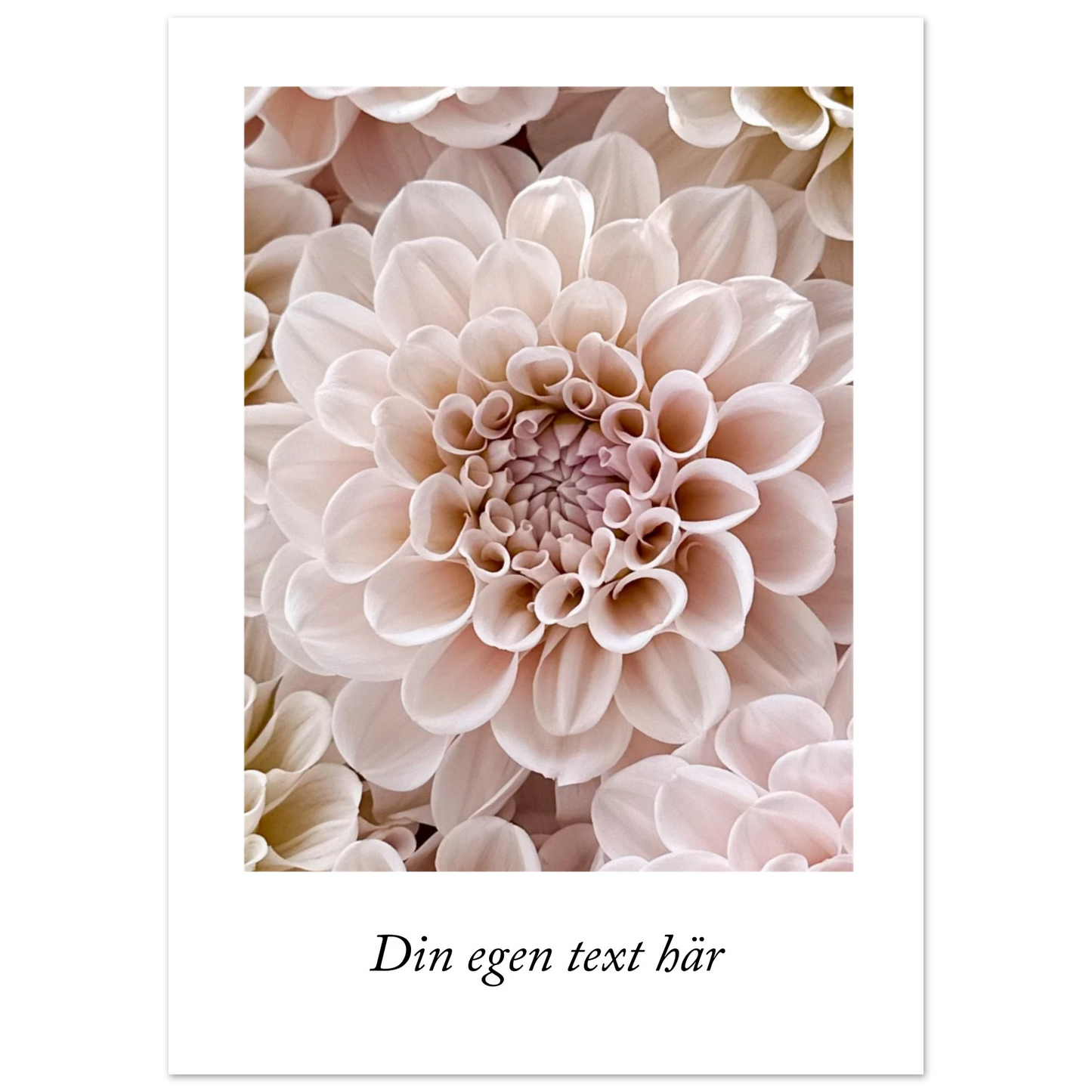 363380fe-dbf3-48c8-b835-782319283ed7