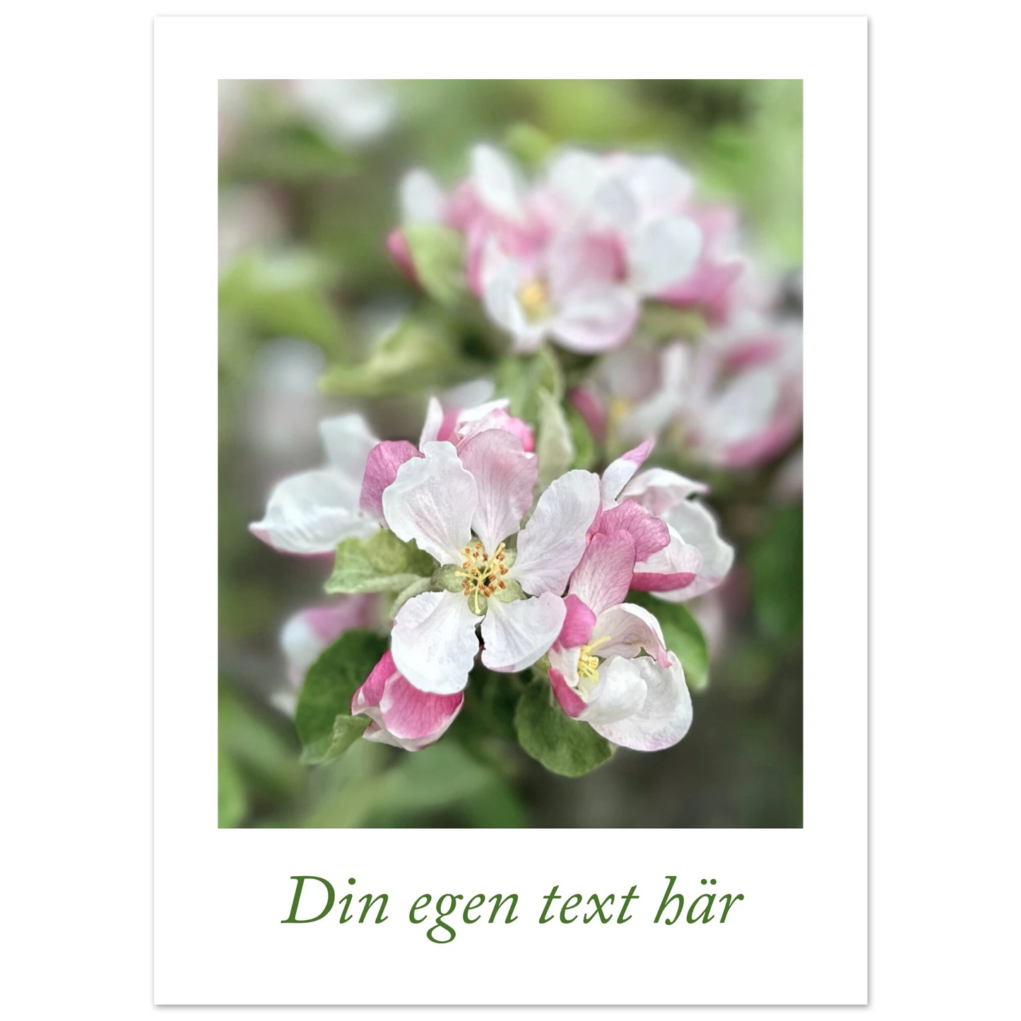 4f79e4bf-27c5-4b89-b4ba-470063f9d0c7