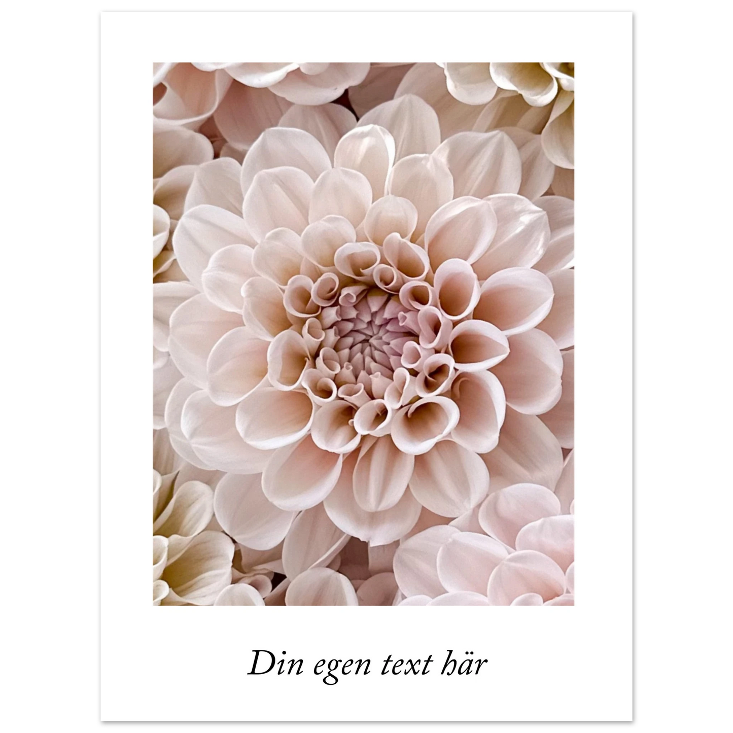 5fc0b5e4-d409-4dbe-8cb8-6a5a43e18d8f