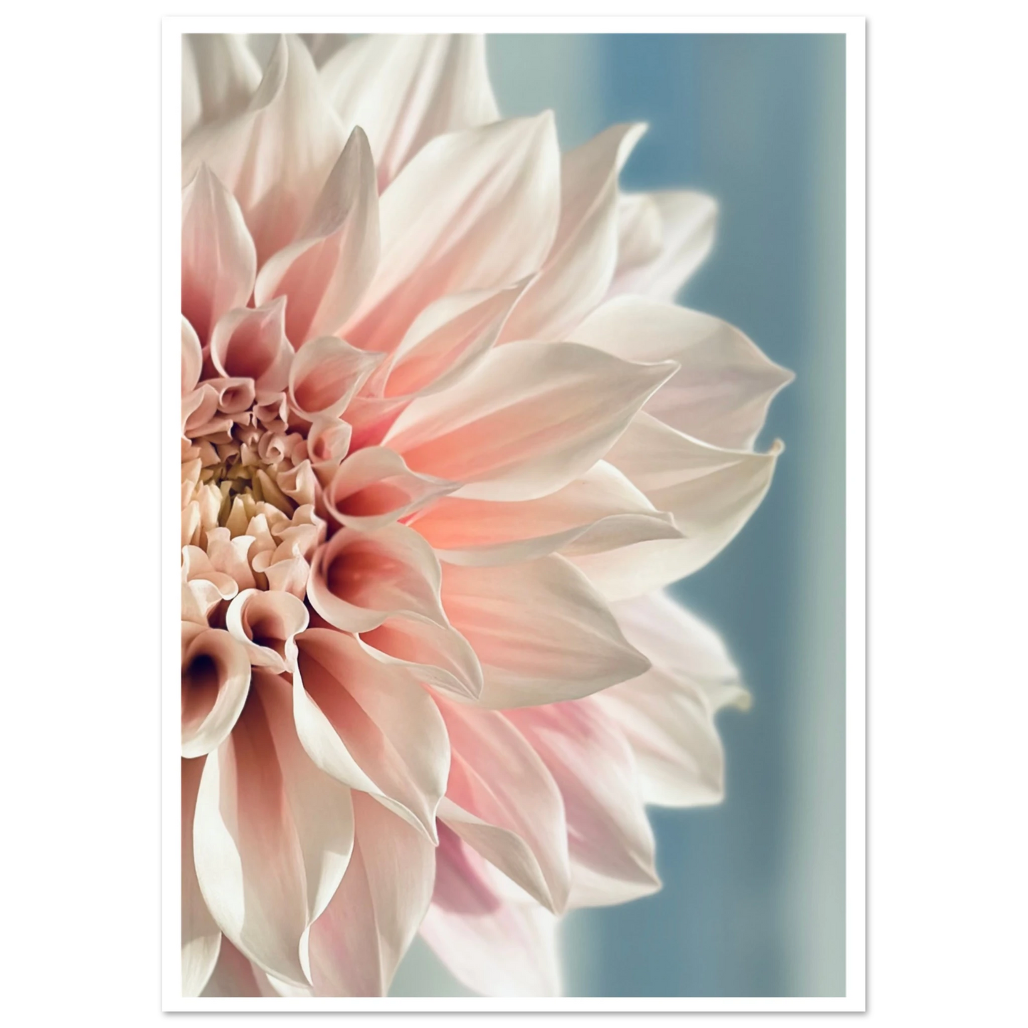 830c11d1-73bf-461a-a859-664355bdd1fe