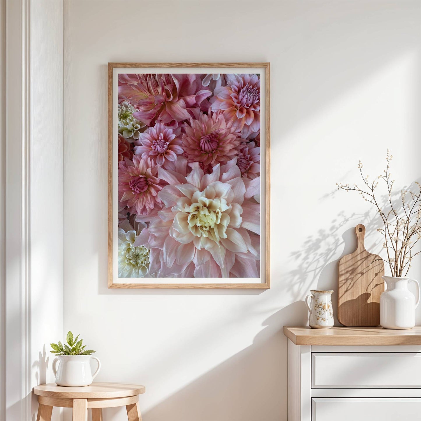 Ljusrosa och varmrosa Dahlior