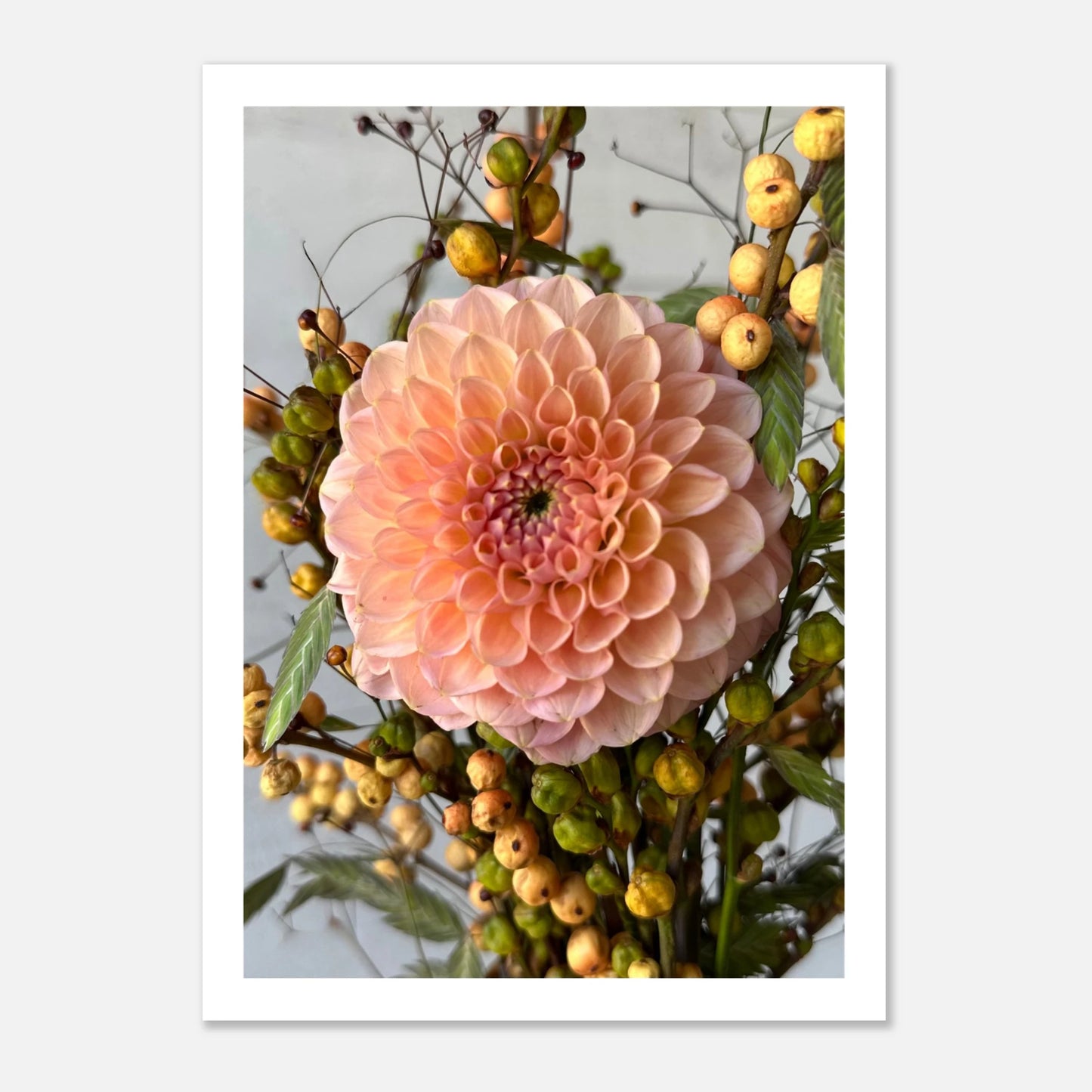 a37d501c-b19a-4965-afdd-57b771a9aa91