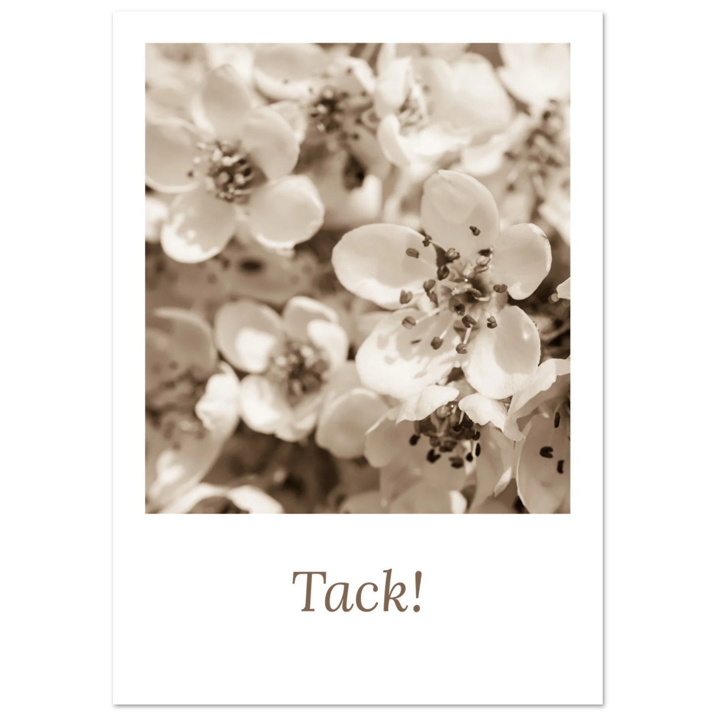 a4984950-413c-48b0-afdd-6ec42b41062d