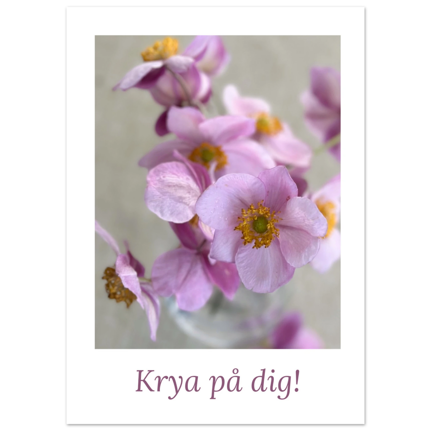 b5423647-02d6-4e92-8208-1d4bad6da527