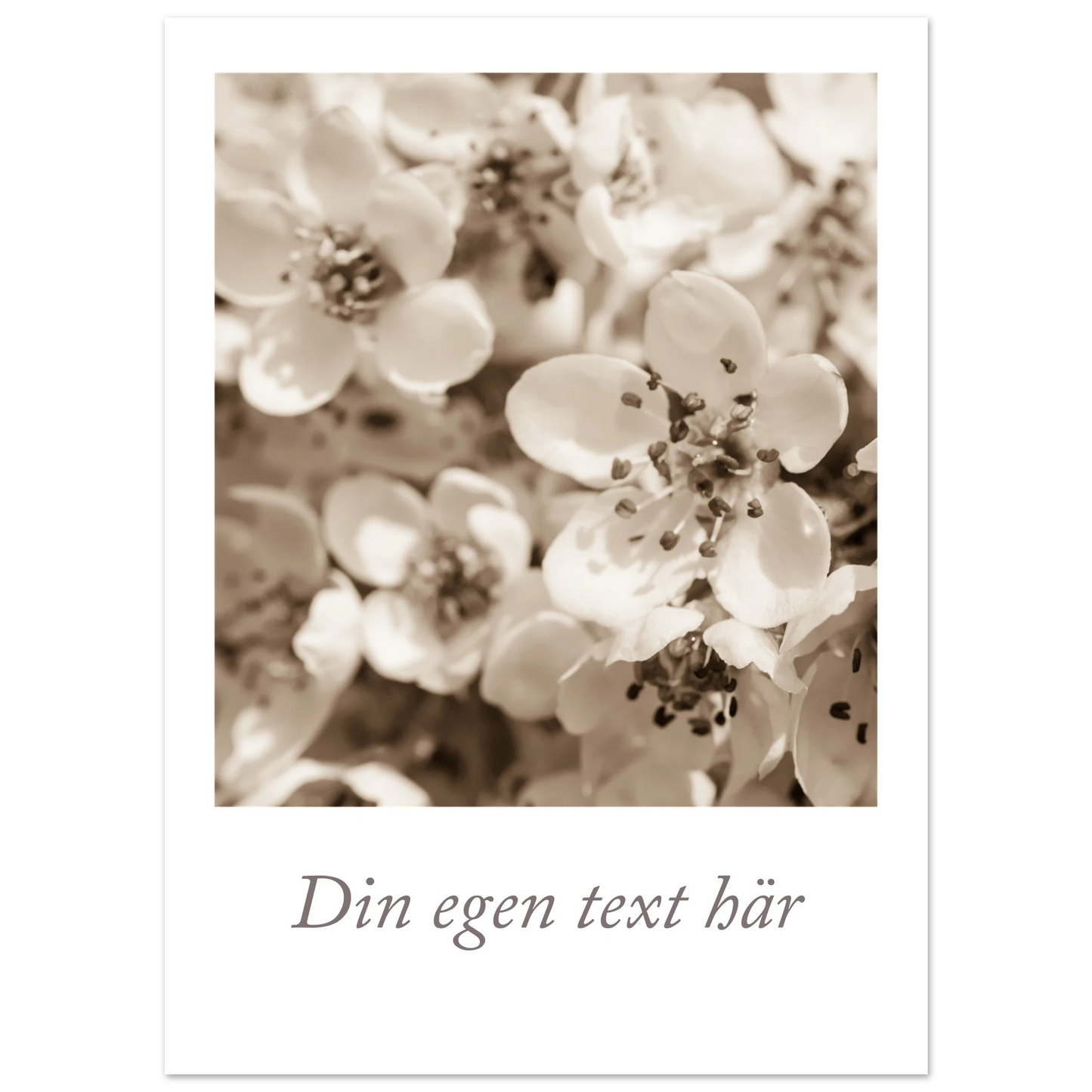 cad5c1cc-ee0a-48fe-b327-b968f0dc138d