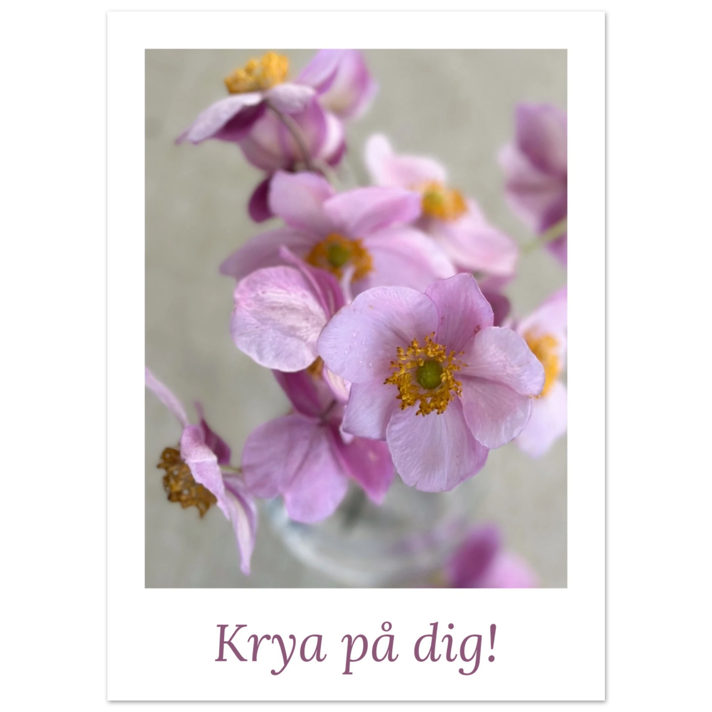 ccf9e5e8-6538-4f5d-9272-2c51017a0ba7