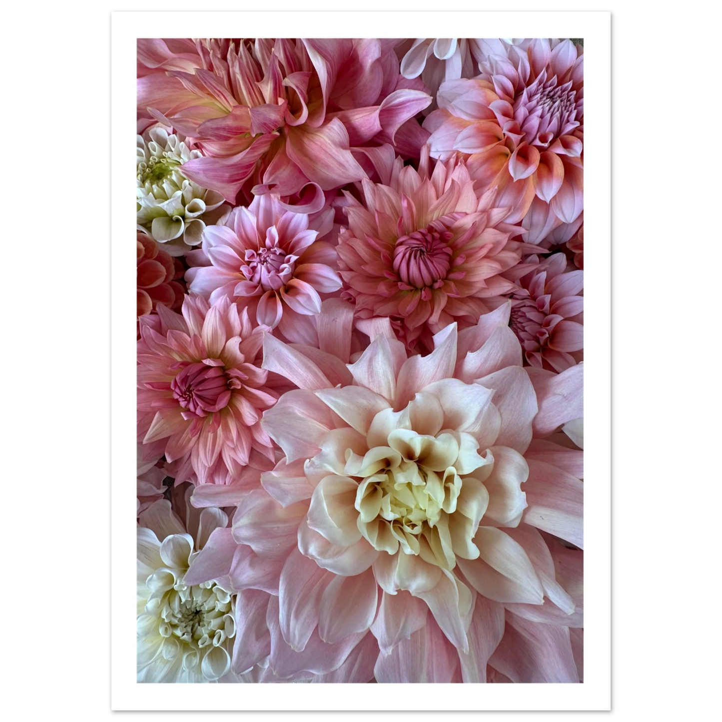 d86cc93f-3975-44da-9b2f-e6f208c03563
