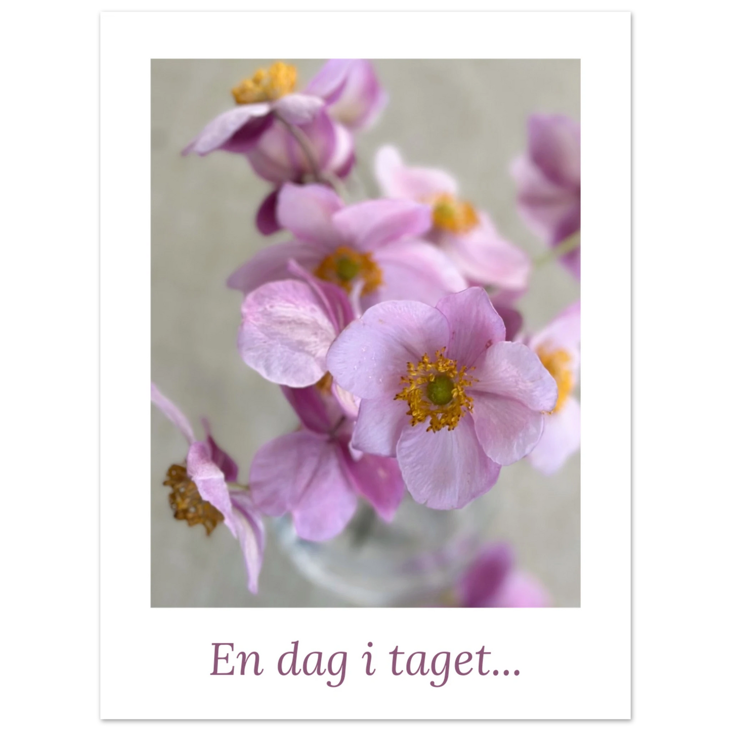 dbd6bdcd-2788-4001-8289-e1d3f91d226f