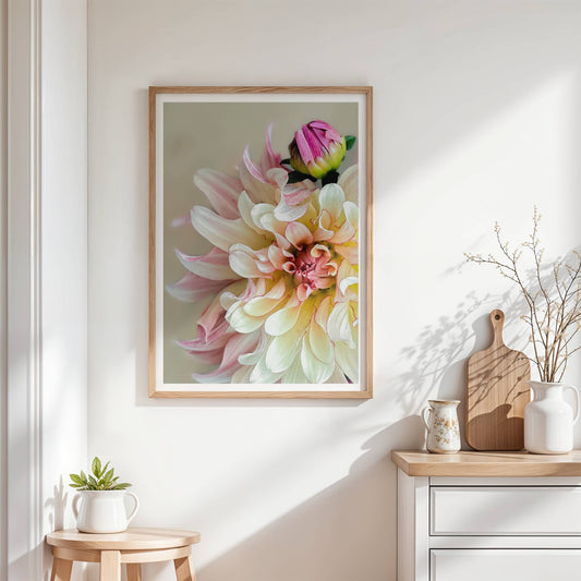 Gyllenrosa Dahlia med knopp