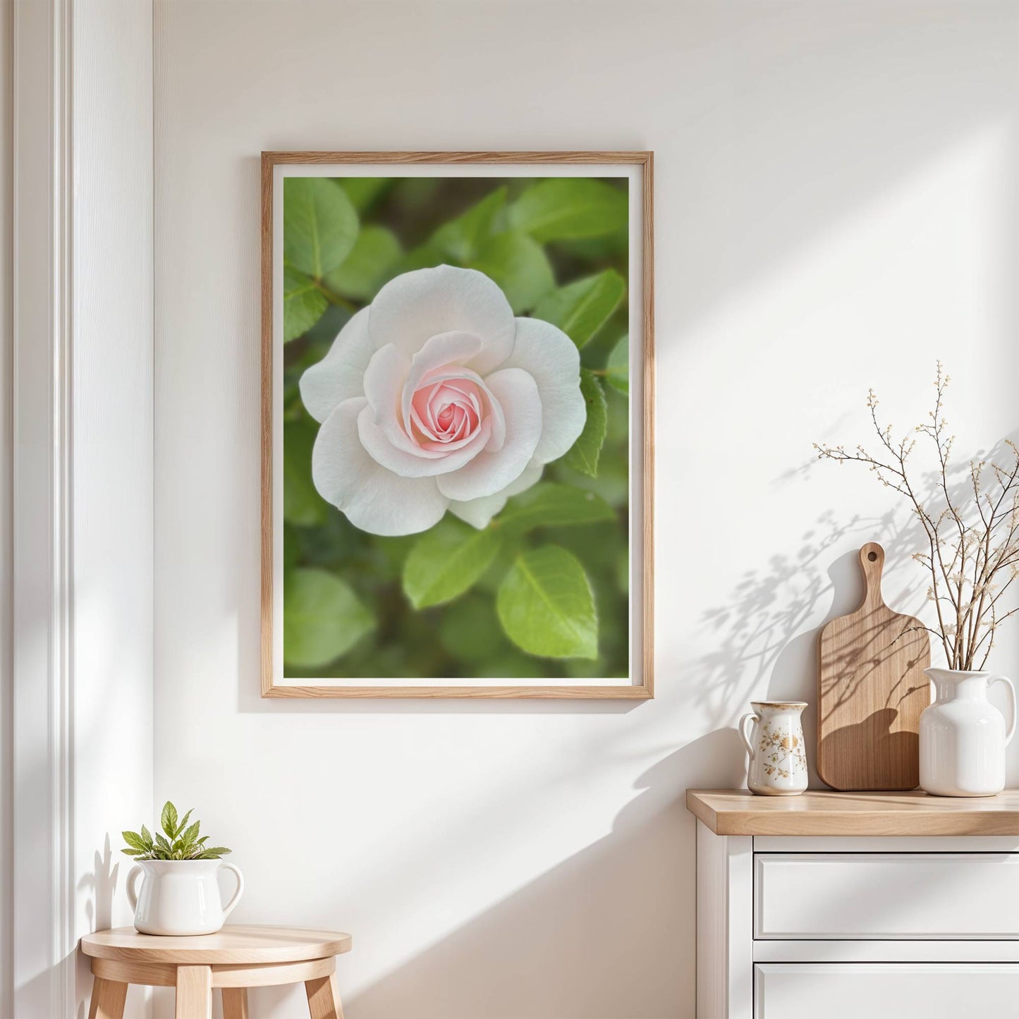 Rosa ros i stillhet