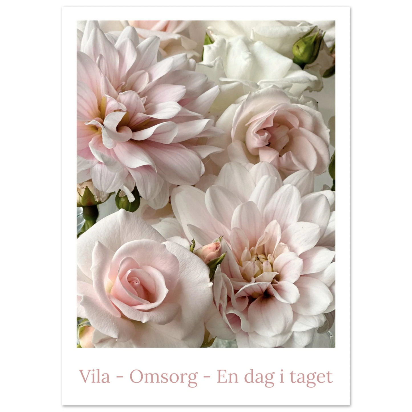 019125eb-4a77-4fc8-8d69-a9af3e749bf0