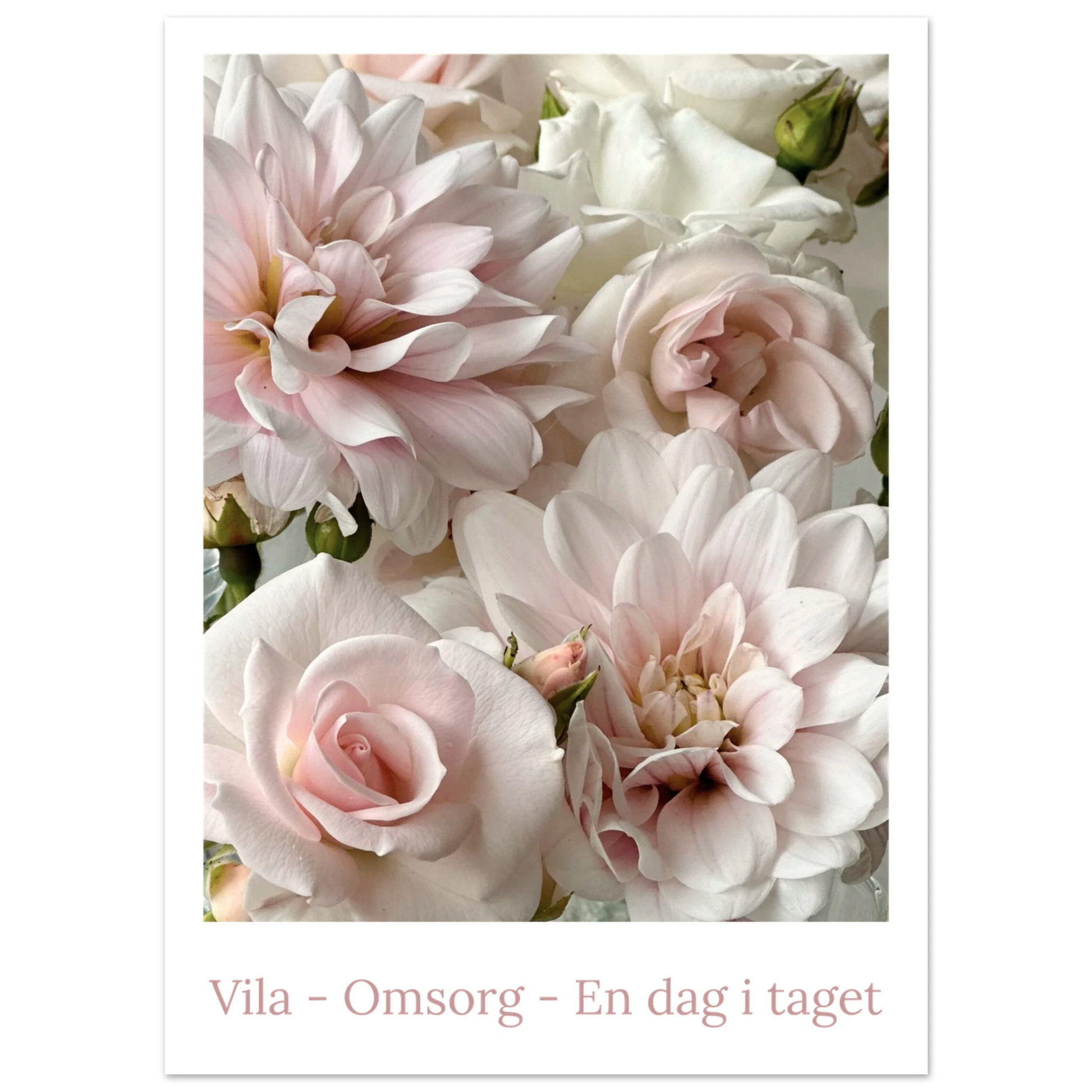 019125eb-4a77-4fc8-8d69-a9af3e749bf0