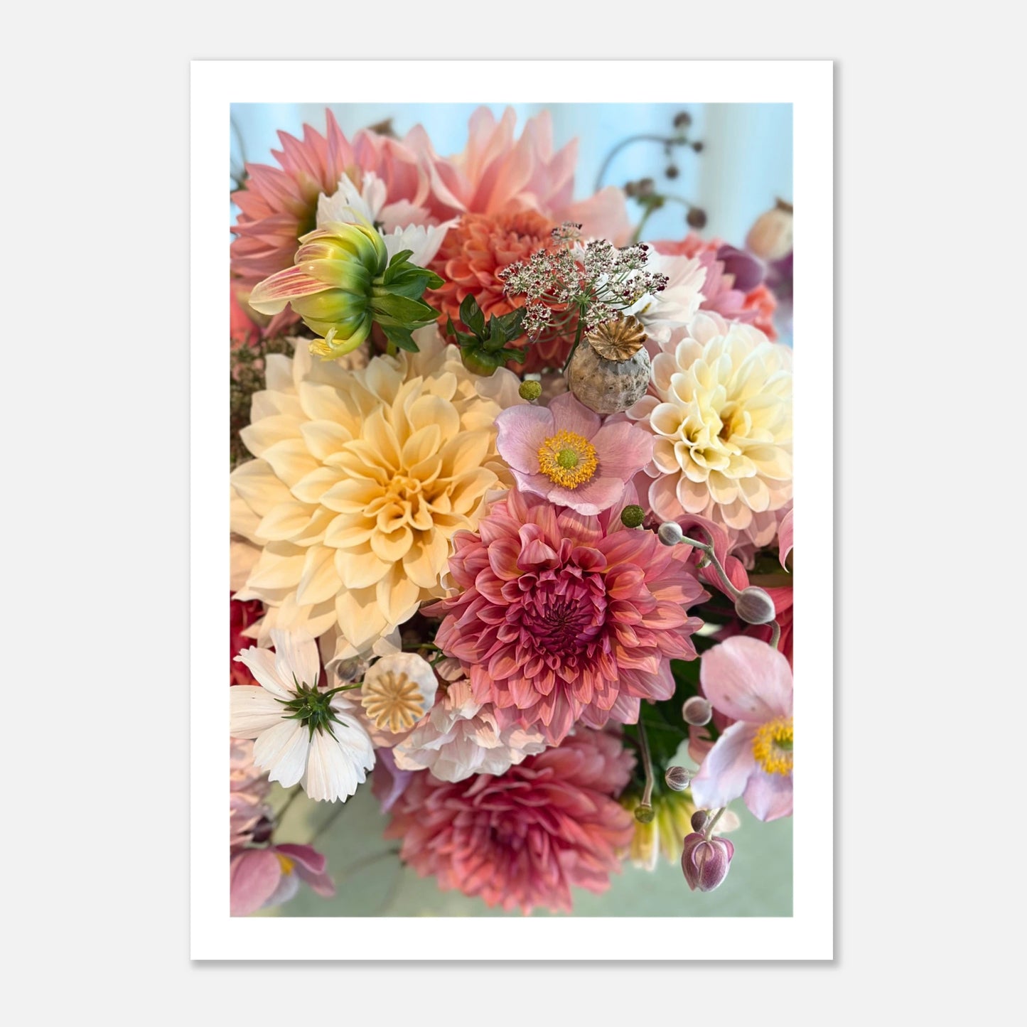 06d22346-4c87-4c36-98b0-ad3269e481aa