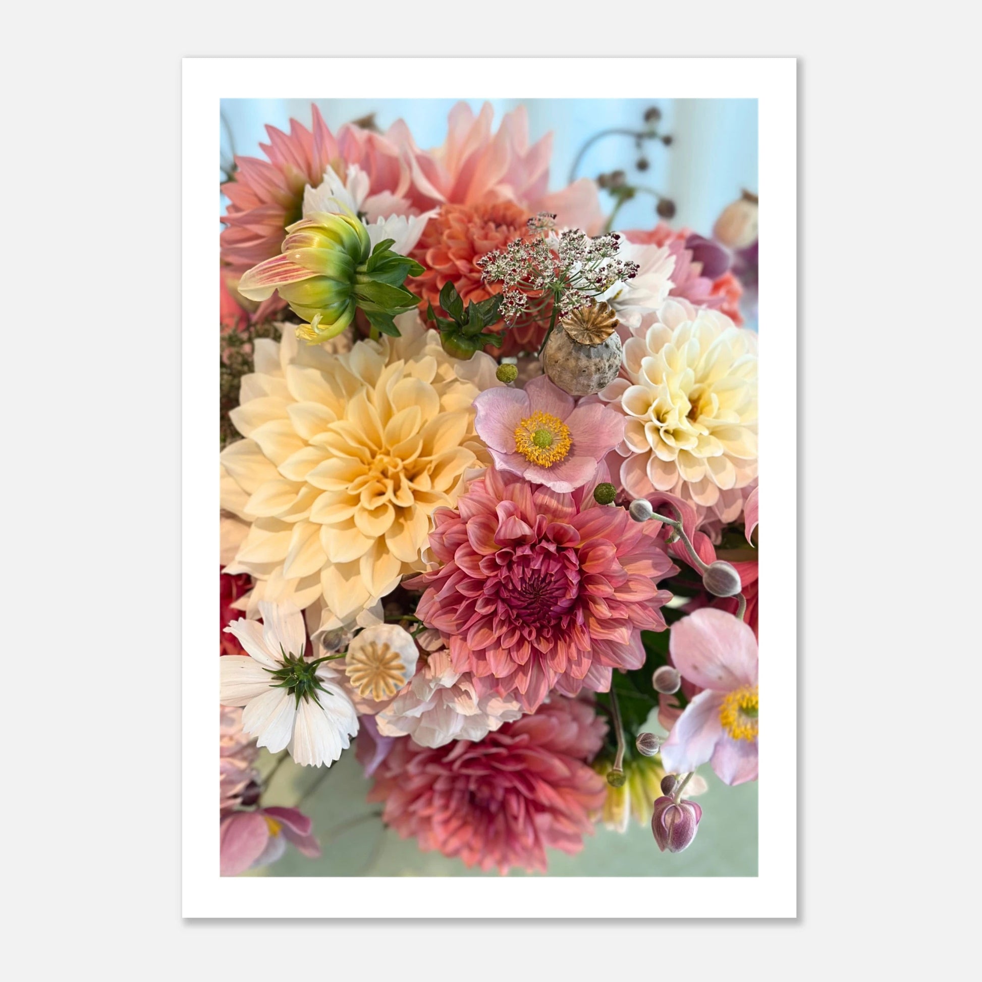 06d22346-4c87-4c36-98b0-ad3269e481aa