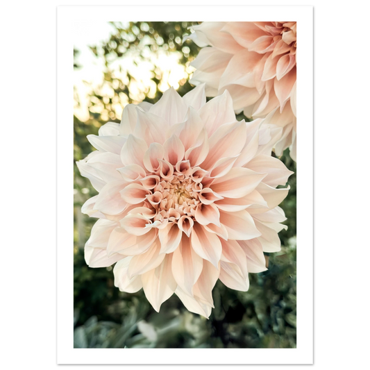 090f8231-a1b2-43de-ad92-0dfd48b839b1