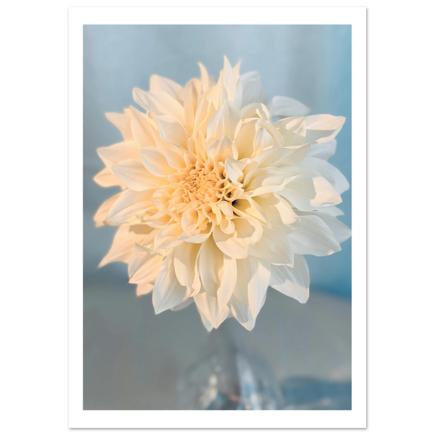 10805b2d-1258-4bc2-bf95-679d67b34f2b