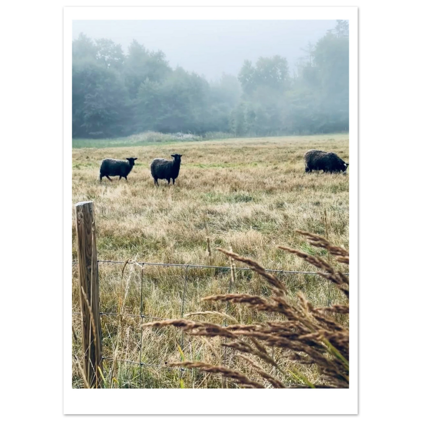 11f1336e-c91b-4828-9995-3405770968b0