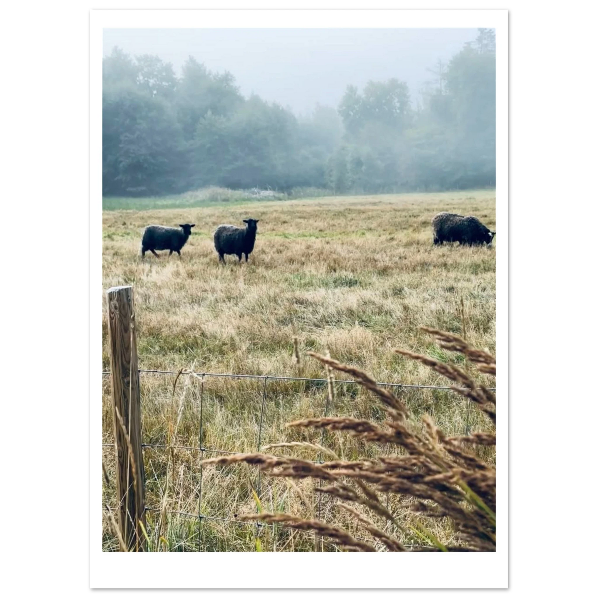 11f1336e-c91b-4828-9995-3405770968b0