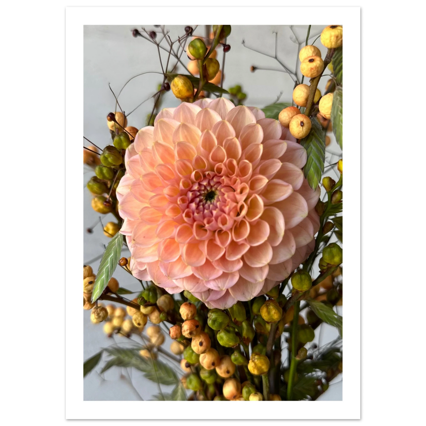 19545ea5-f362-486e-b3fd-0dfcfad4bc62