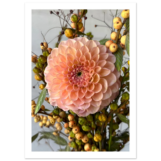 19545ea5-f362-486e-b3fd-0dfcfad4bc62