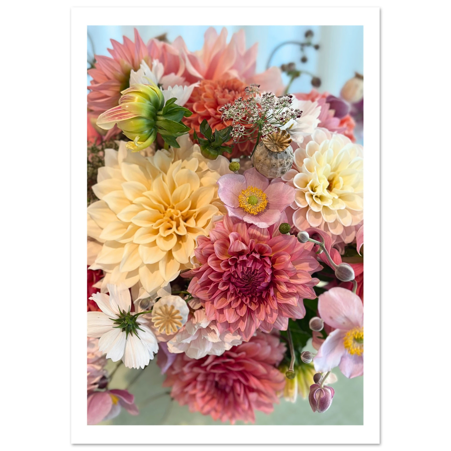 2329b867-af77-4850-989b-f9f495a0d9d8