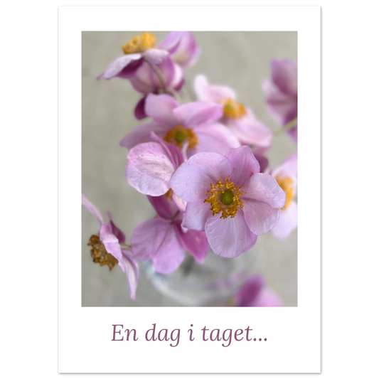 25f8b993-0bb9-4145-8599-e641292a16fe
