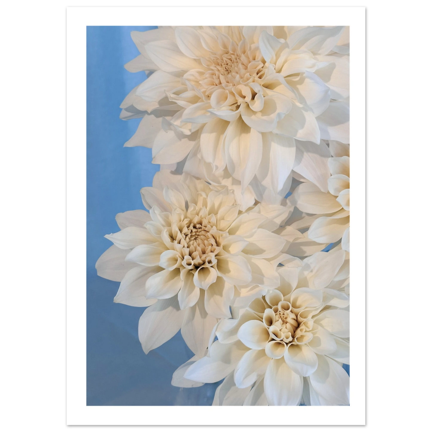 2a3aca1d-0da2-46bd-aab1-0513ce25fd28