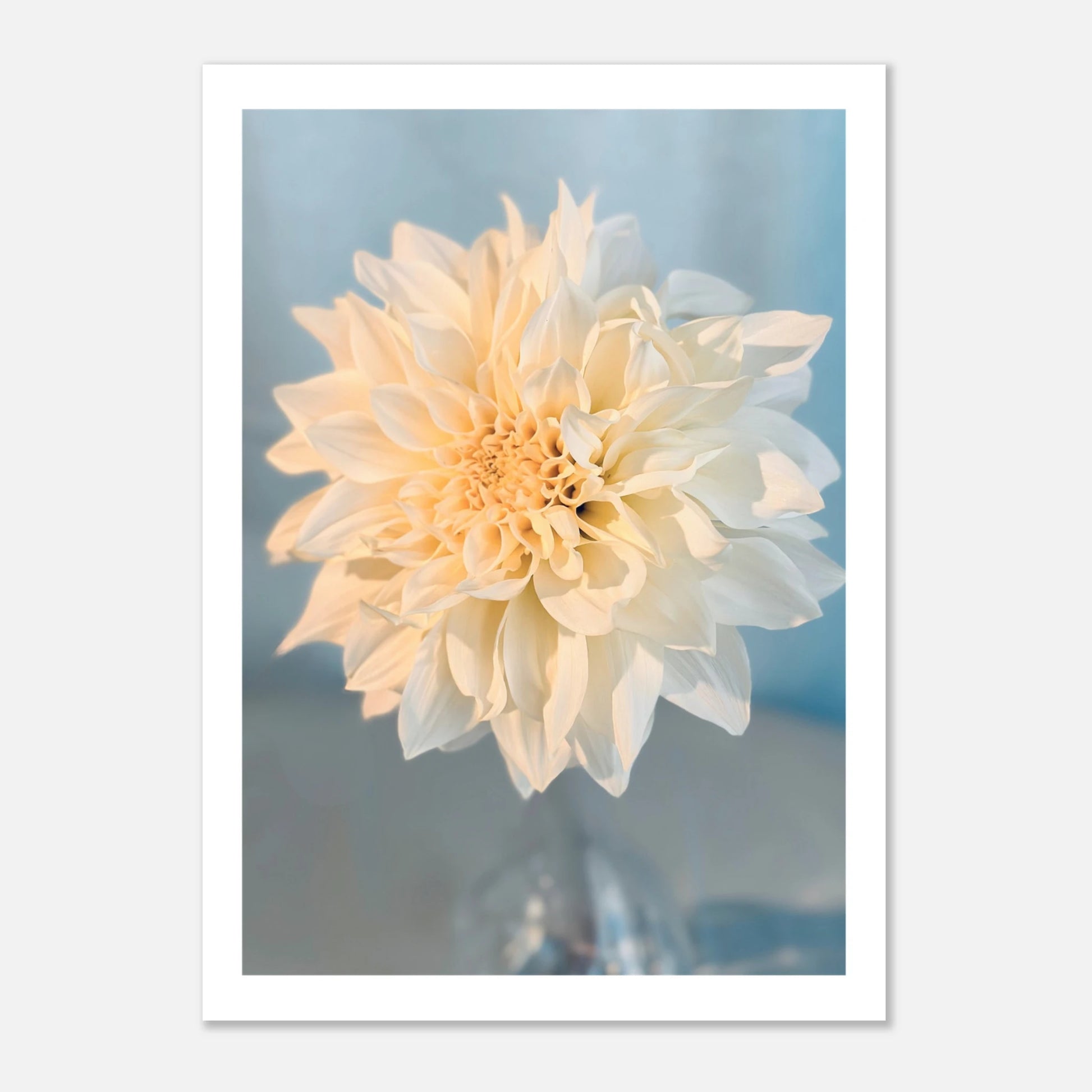 35046df8-cf1c-4e57-a2e3-de91633bbf46