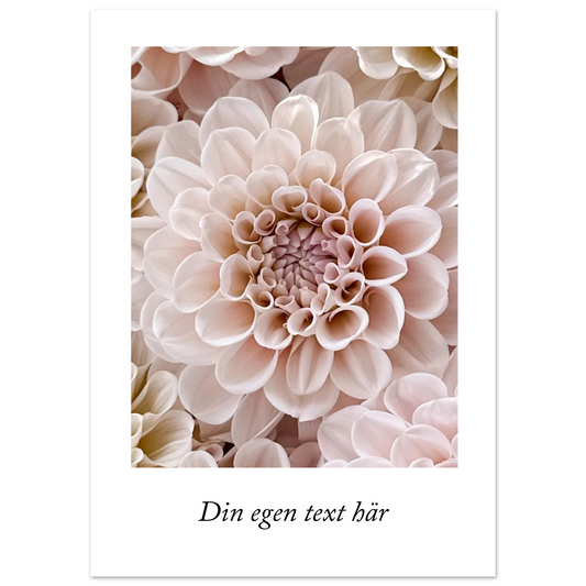 363380fe-dbf3-48c8-b835-782319283ed7