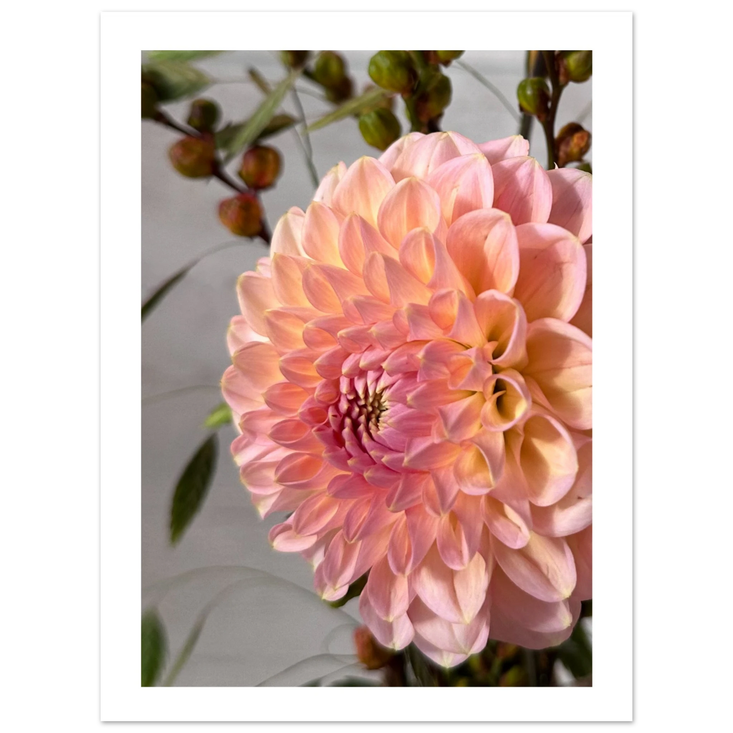 399860d8-67fa-4b16-9255-02d11938b3ab