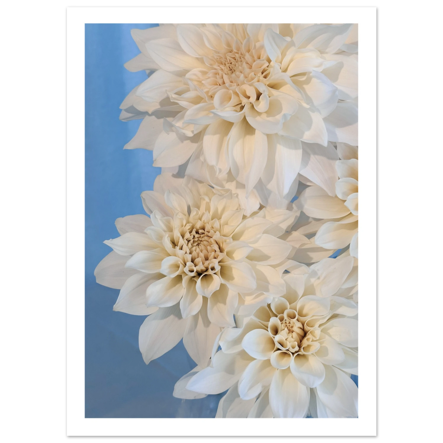 3fdca5a4-53fc-4af0-86c8-8b8973945e58