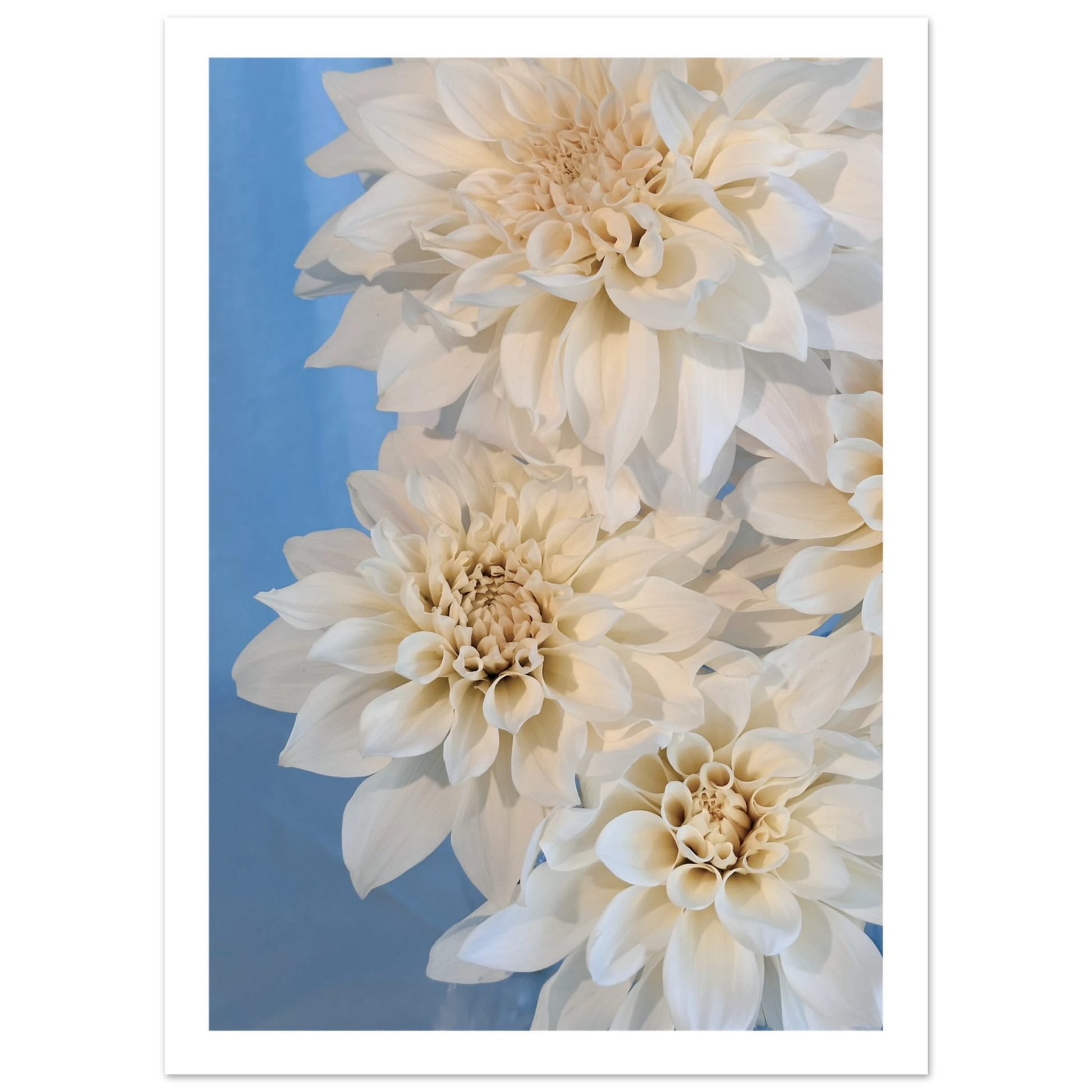 3fdca5a4-53fc-4af0-86c8-8b8973945e58