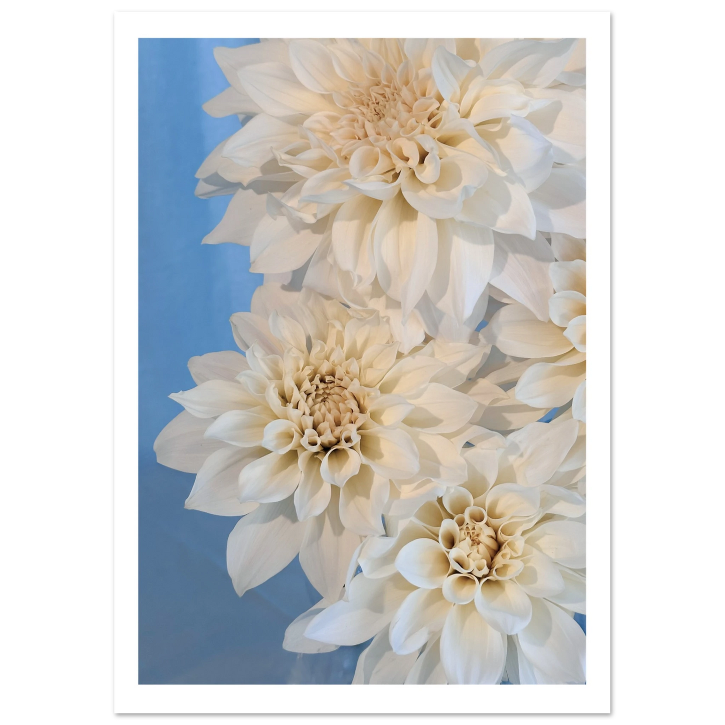 4319b71c-3e26-4361-9565-73dc475cfc43