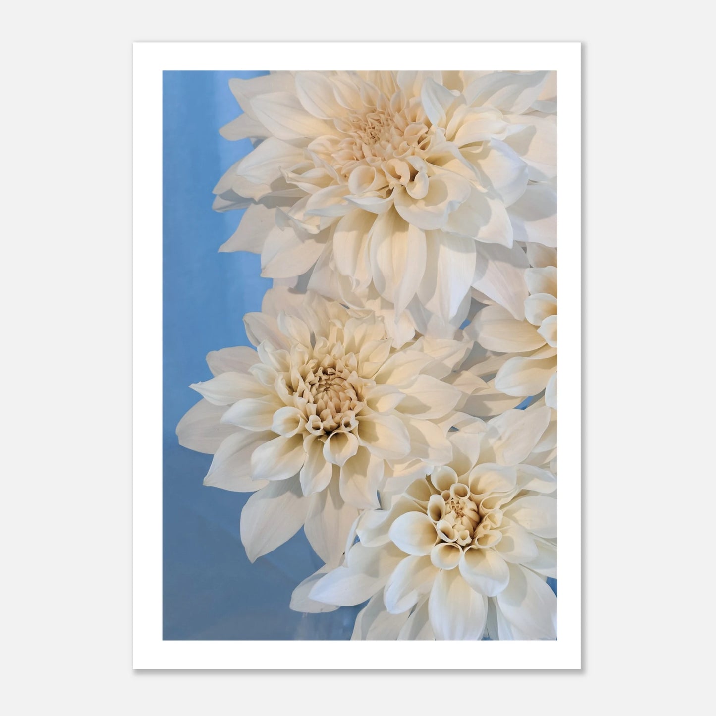 49165beb-5487-48a7-b4c5-d134f7d88617