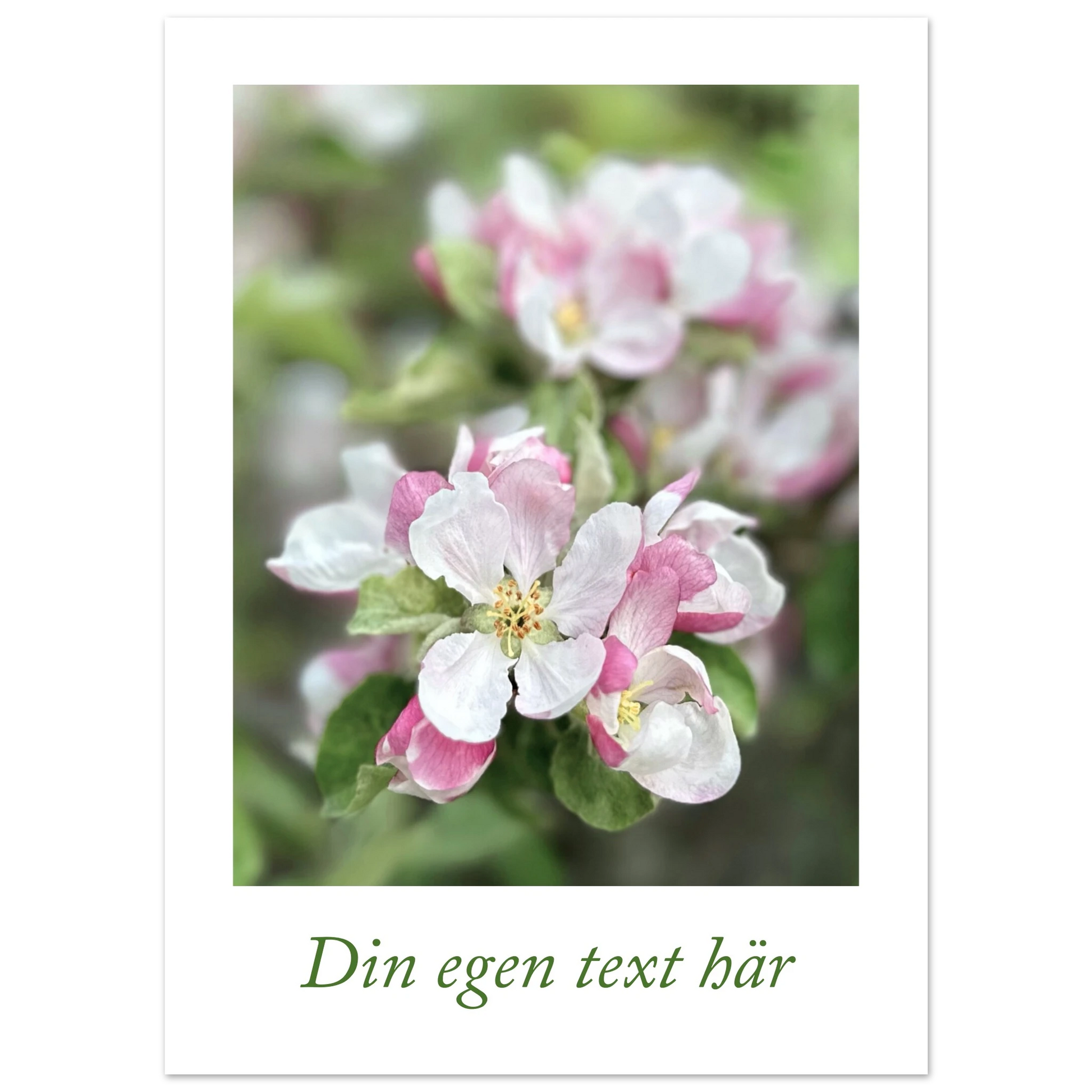 4f79e4bf-27c5-4b89-b4ba-470063f9d0c7