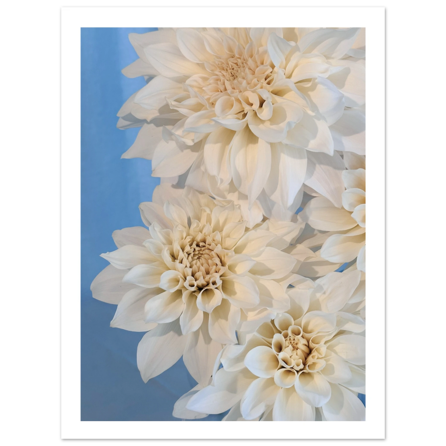 5513ac29-29a2-4ea6-8eb7-f474156ed8c5