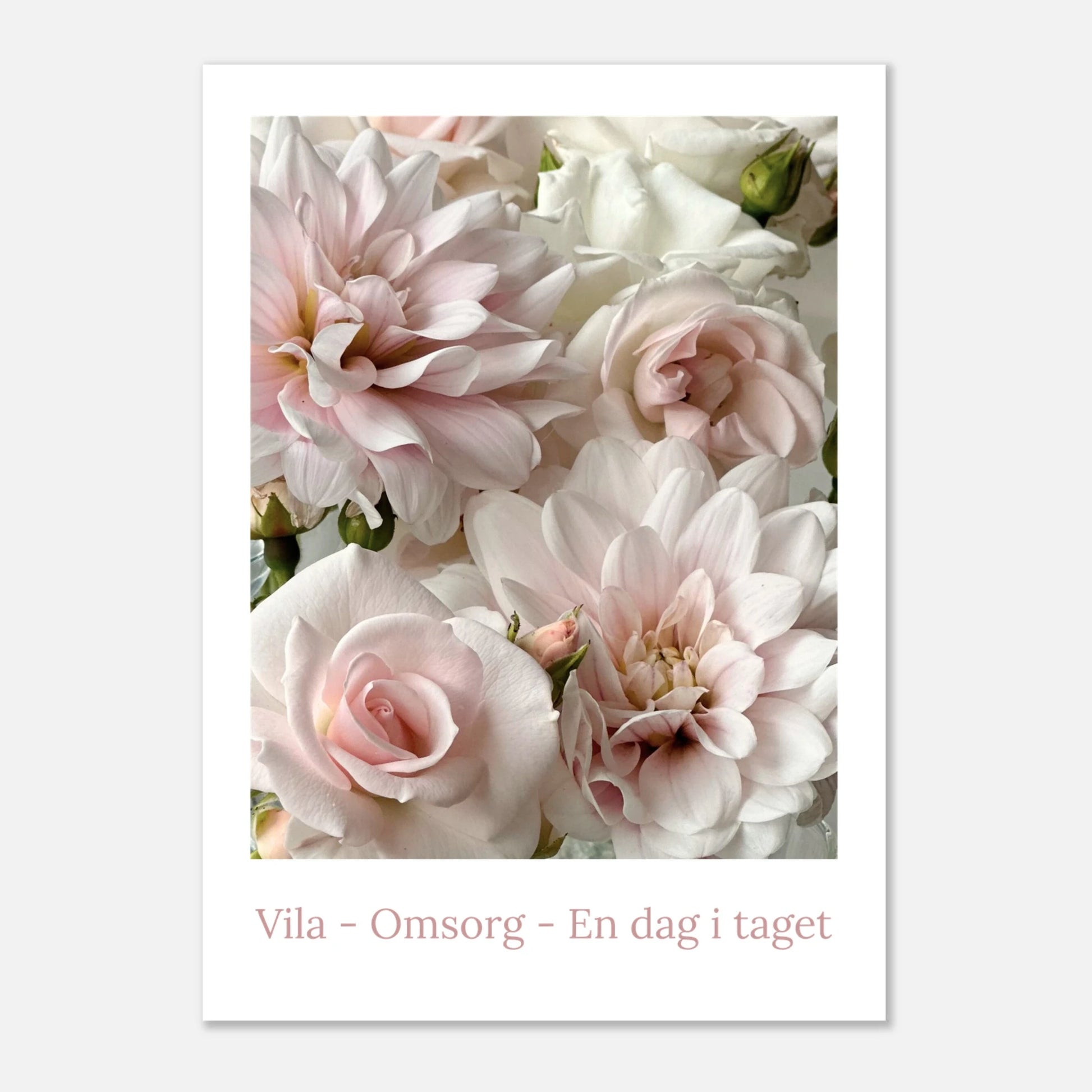 5a46101c-bfeb-4775-9f63-326e4b41d8bc