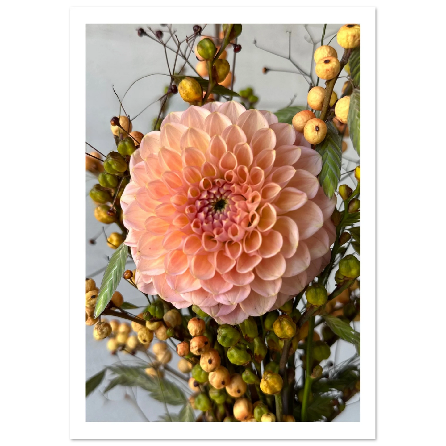 64888900-edfd-4274-8a97-90d14614578b