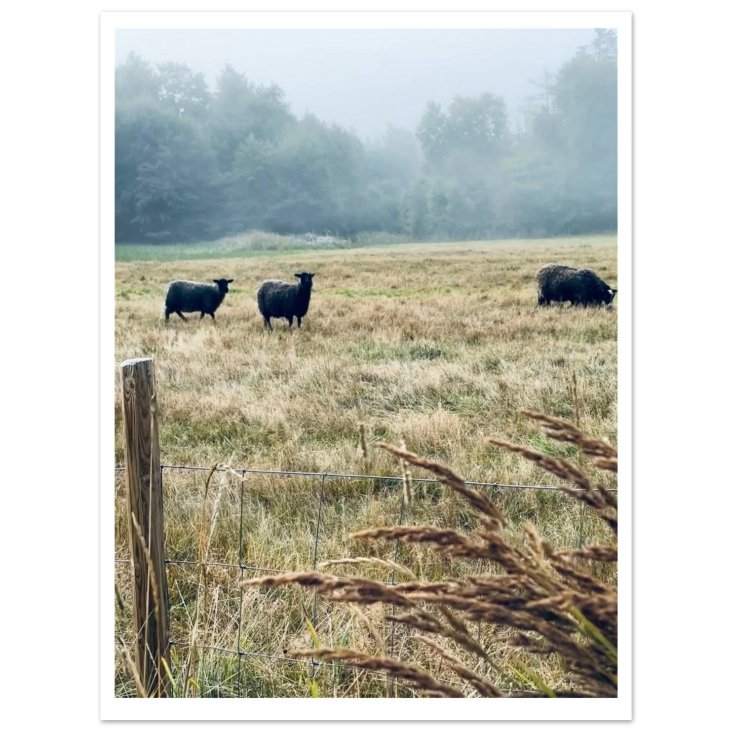 71528eca-8129-4e3d-86c9-03e774b79ace