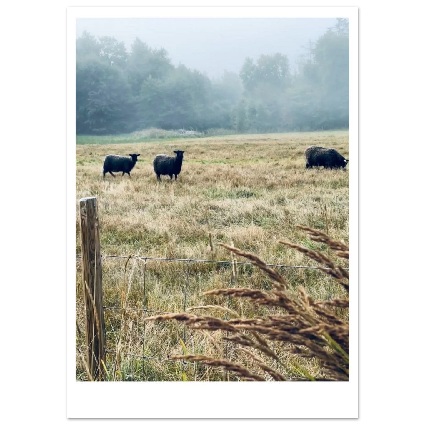 822068f8-5894-4229-b27e-4e69b5c6135d