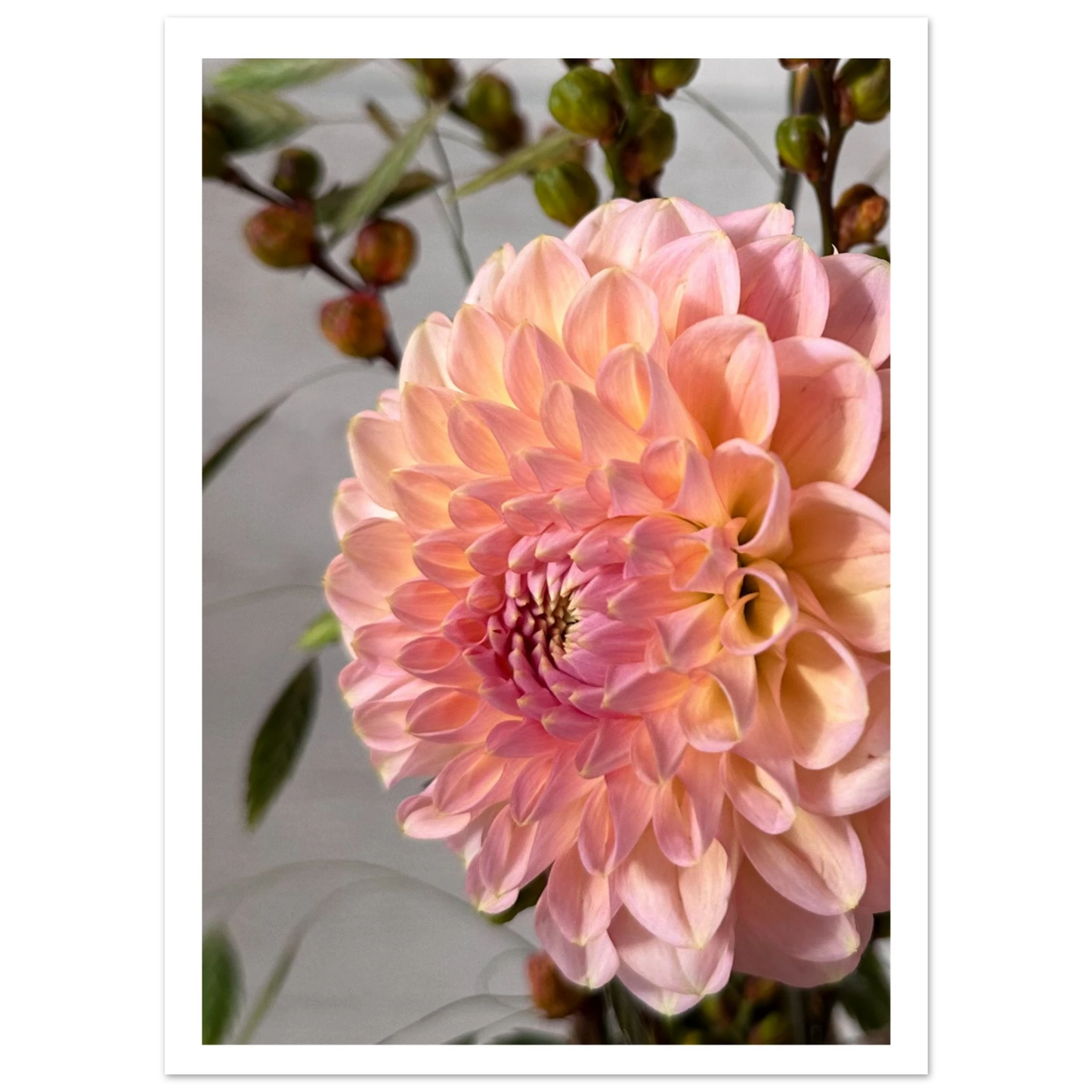 8b798694-25c0-4f2c-9c19-5b13433679d7