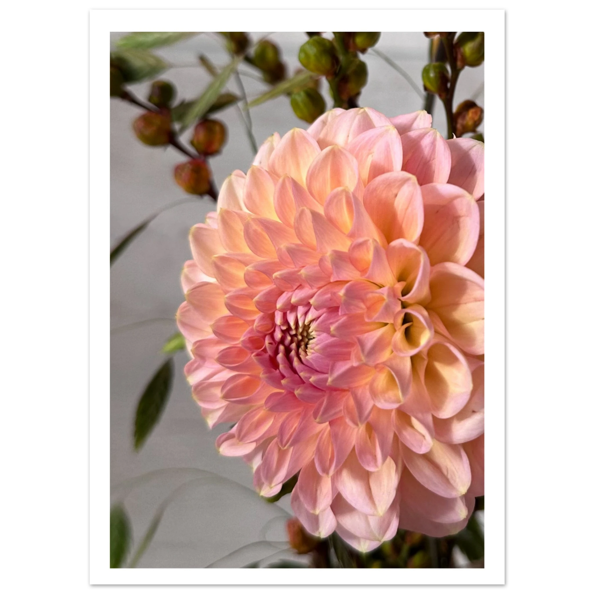 8b798694-25c0-4f2c-9c19-5b13433679d7