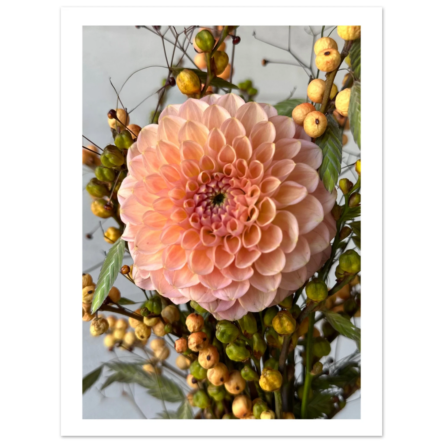 9006e25a-9b3e-4603-825e-56021b8e7216