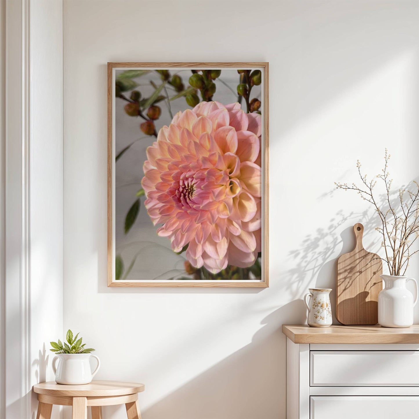 Aprikos Dahlia vänd åt vänster