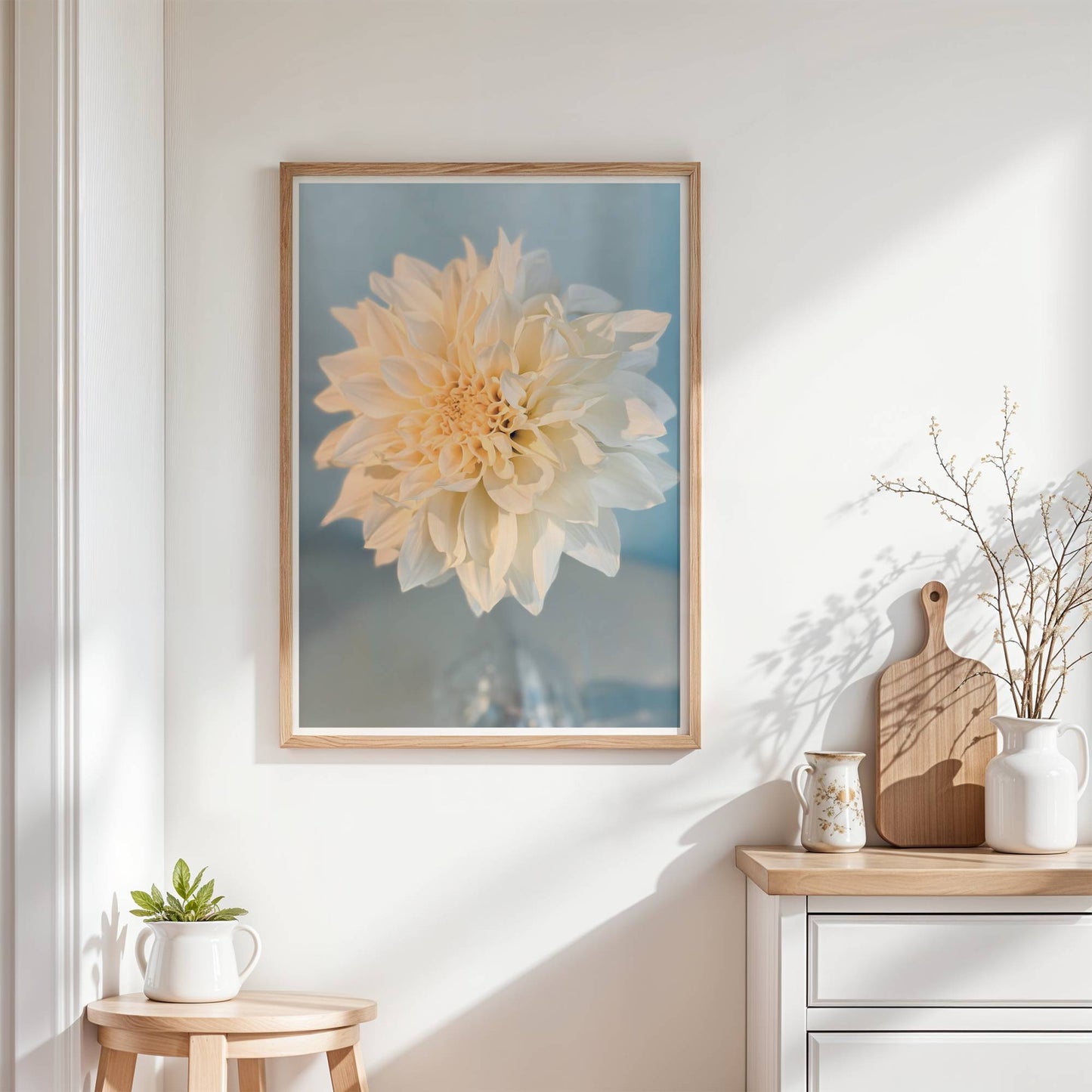 Dahlia Cafe au Lait i solen