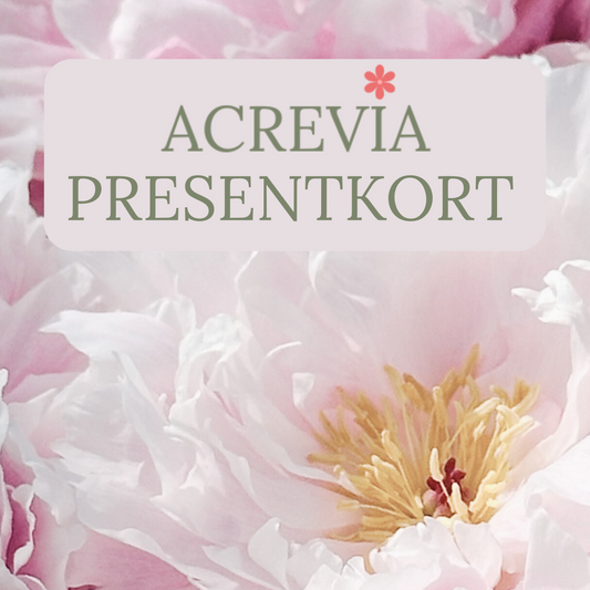 Presentkort